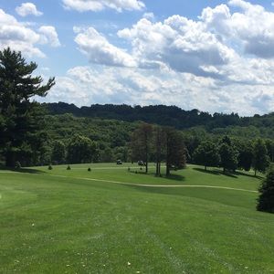 Meet your Posher, Arnie